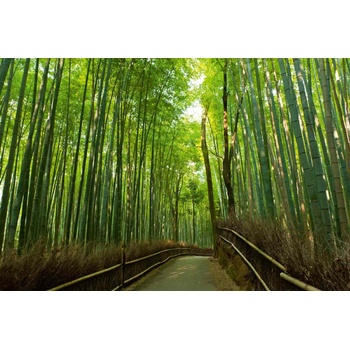 DIMEX ART s. r. o Флизелинов фототапет бамбукова горичка 375 x 250 см
