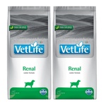 Farmina ФАРМИНА Vet Life Dog Renal 2x12кг
