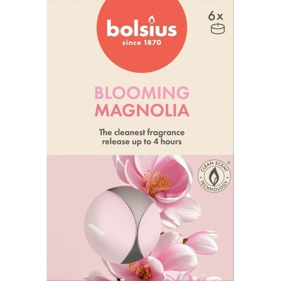 Bolsius True Scents Magnolia 6 ks