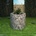 vidaXL Gabion 100x90x100 cm (142533)