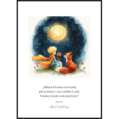 Jen tak z lásky Plakát Malý princ - Miluješ-li květinu Rozměr plakátu: A4 (21 x 29,7 cm) – Zboží Dáma