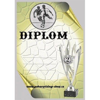 VIZINGR Fotbal diplom A4 č.51
