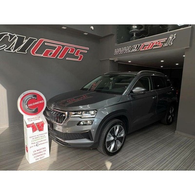 Skoda Karoq 2.0 TDI DSG Executive 110 kW