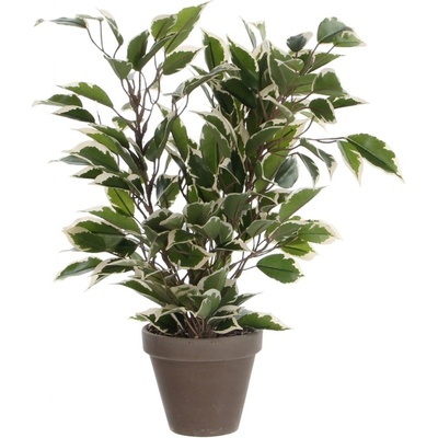Umělá rostlina Fikus, 40 cm, zelená 930306