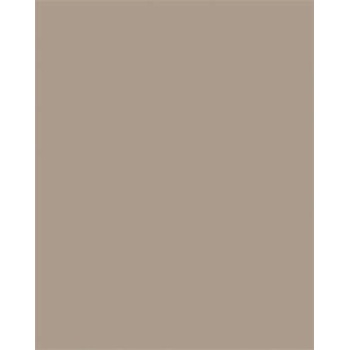 folia Цветна хартия a3, 130 г, 50 листа, folia, капучино 6373 (6373)