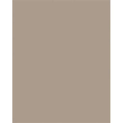 folia Цветна хартия a3, 130 г, 50 листа, folia, капучино 6373 (6373)