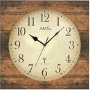 AMS 5550