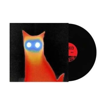 Basement - WIRED LP