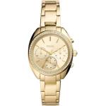 Fossil BQ3658 Часовници