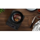 Salente InductPro1