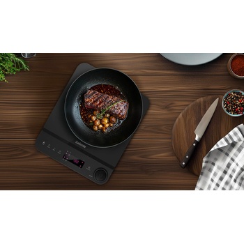 Salente InductPro1