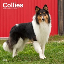 Collies 12 X 24 Inch Monthly Square Wall Plastic-Free 2025