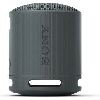 Sony SRS-XB100