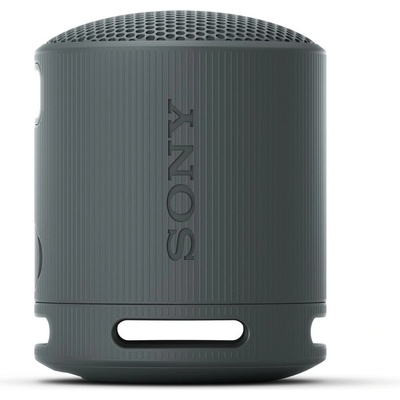 Sony SRS-XB100