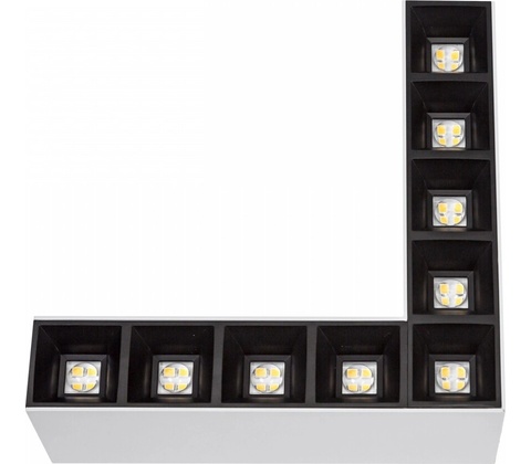 Spectrum WOJP09651