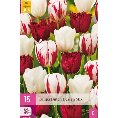 Karta XXL Tulipán Dutch Design Mix 15 cibulí "D"