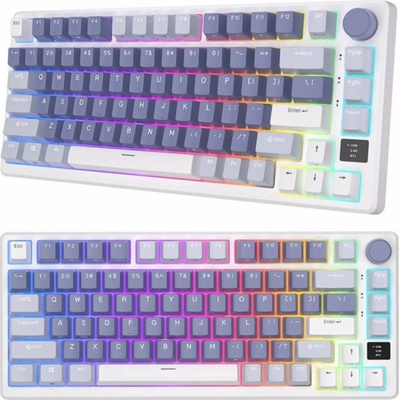Royal Kludge RKM75 RGB Silver switch blue