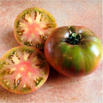 Paradajka Cherokee - Solanum lycopersicum - Semená rajčiaka - 7 ks