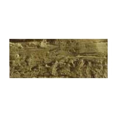 Caran d´Ache Neopastel olejový pastel 039 olive brown