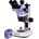 Magus stereo D7T Base