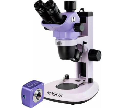 Magus stereo D7T Base