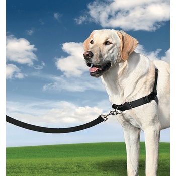 PetSafe EasySport postroj pre psa