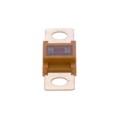 Poistka BOSCH 1 987 531 002