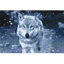 Vymalujsisam Malování podle čísel Vlk dravec