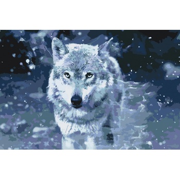 Vymalujsisam Malování podle čísel Vlk dravec