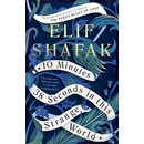 10 Minutes 38 Seconds in this Strange World - Elif Shafak
