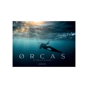 Image 1 of Orcas