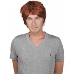 Astérix Aster Mens Brown Wig Lux