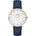 Cluse CL18025