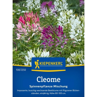 Kiepenkerl Cleome zmes 1 bal.