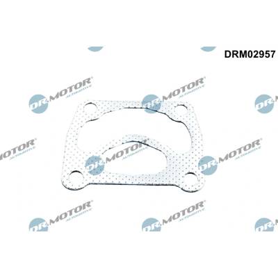 DR.MOTOR AUTOMOTIVE Tesnenie turbodúchadla DRM02957