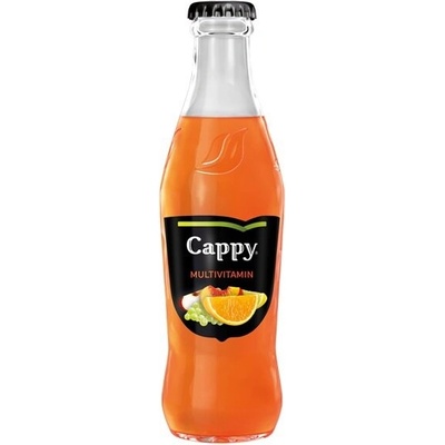 Cappy multivitamín sklo 24 x 250 ml