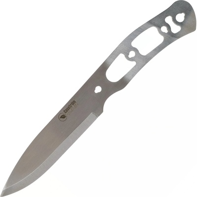 Casstrom No. 10 SFK Blade Sc CASS-13201