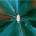 Silent Planet - Iridescent CD
