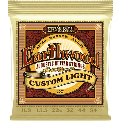 Ernie Ball 2007