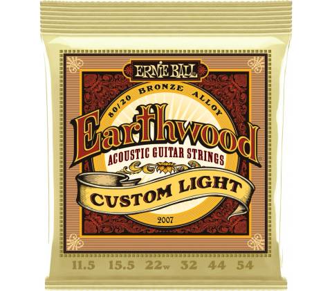 Ernie Ball 2007