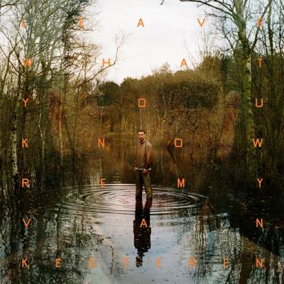 Remy van Kesteren - LEAVE WHAT YOU KNOW Vinyl