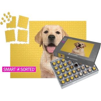 puzzleYOU Foto SMART SORTED 1000 dílků