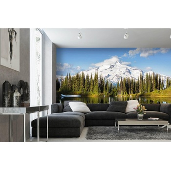 DIMEX ART s. r. o Самозалепваща се флизелинова фототапета връх глейшър във вашингтон 375 x 250 см