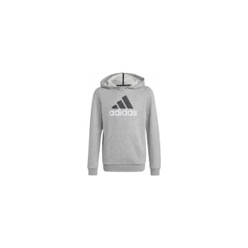 Image 1 of Adidas Big Logo Essentials (HB4362) Юношески Суичър