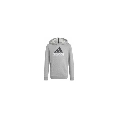 Adidas Big Logo Essentials (HB4362) Юношески Суичър