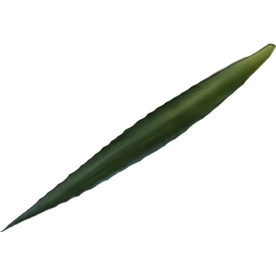 Umělý list kaktus Aloe obří, 82cm, 12ks