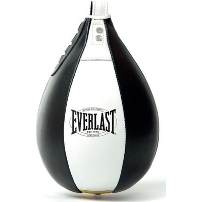 Everlast Speed Bag