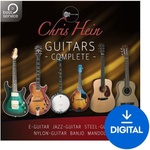 Best Service Chris Hein Guitars (Дигитален продукт)