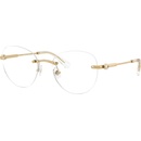 Swarovski SK1021 4004