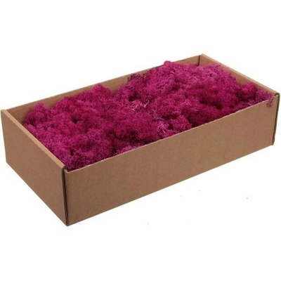 Stabilizovaný mach - lišajník islandský 500 g - fuksia